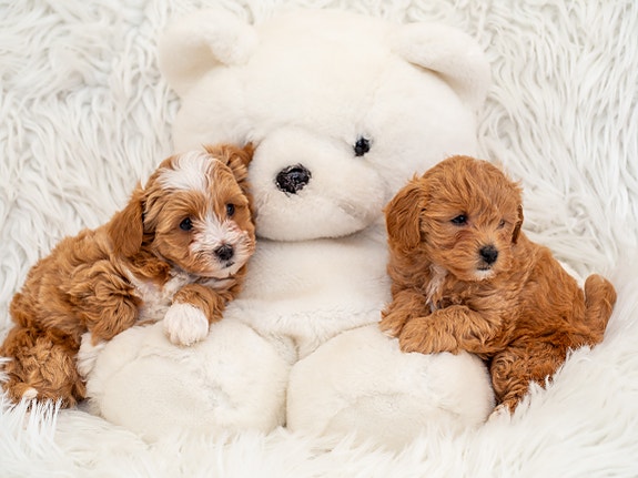 Product image 1 of 10