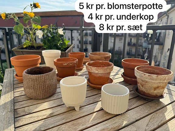 Product image 8 of 38
