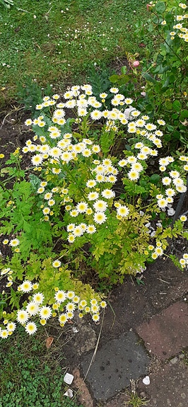 Product image 14 of 20