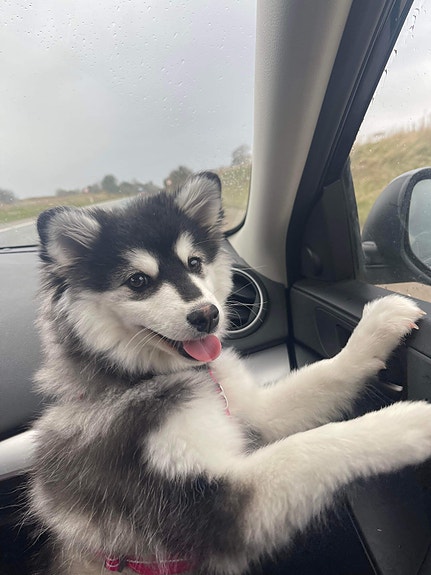 Product image 3 of 9