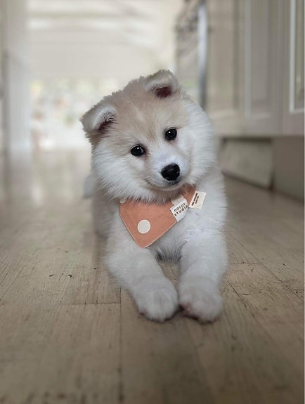 Product image 1 of 9