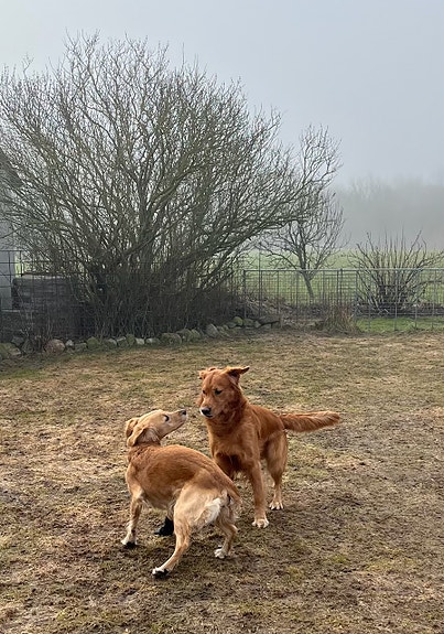 Product image 1 of 9