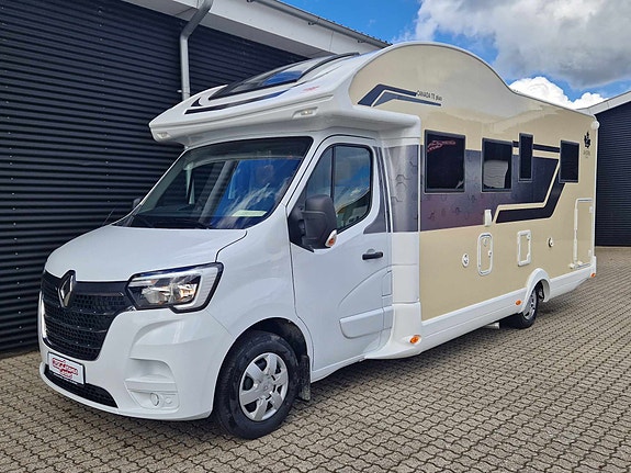 Ahorn Ahorn Canada TE