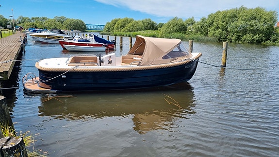 Primeur 570 BUN 2024