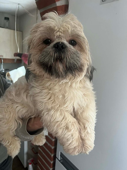 Product image 4 of 8