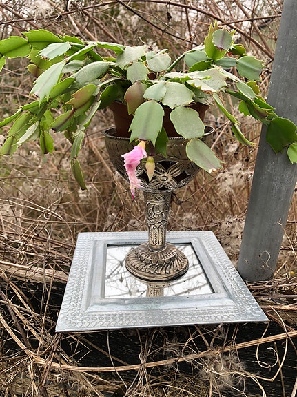 Product image 12 of 12