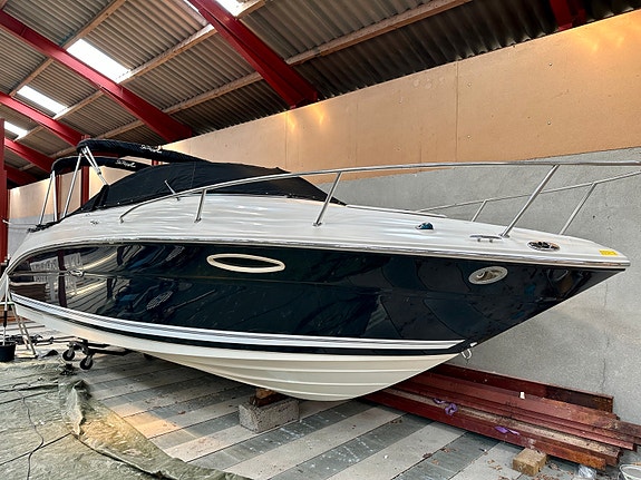 Sea ray 225 Weekender