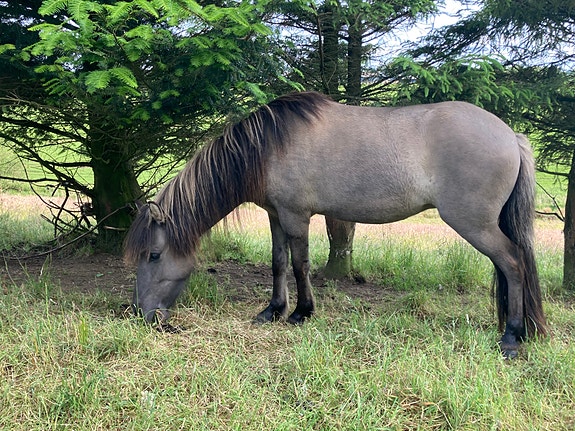 Product image 1 of 9