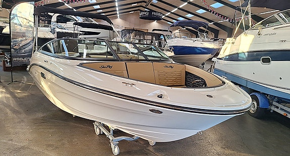 Sea Ray SPX 190 Outboard