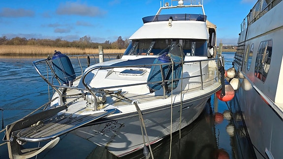 Den blinde høne - Neptunus 145