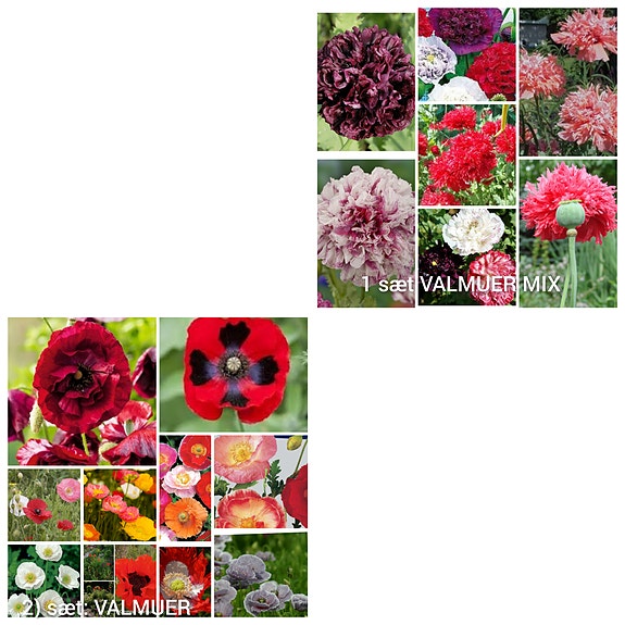 Product image 20 of 23