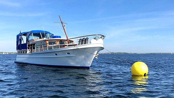 Andre Super Van Craft 13.80