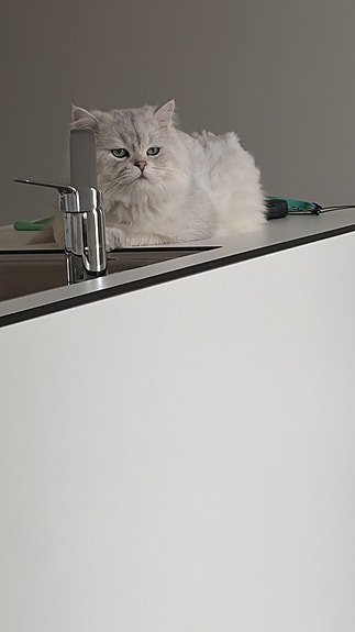 Product image 15 of 15