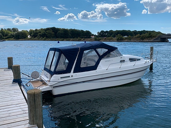 Drago 26