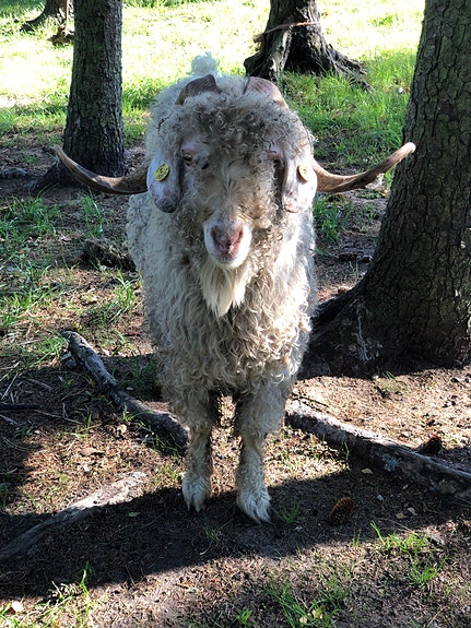 Product image 1 of 5