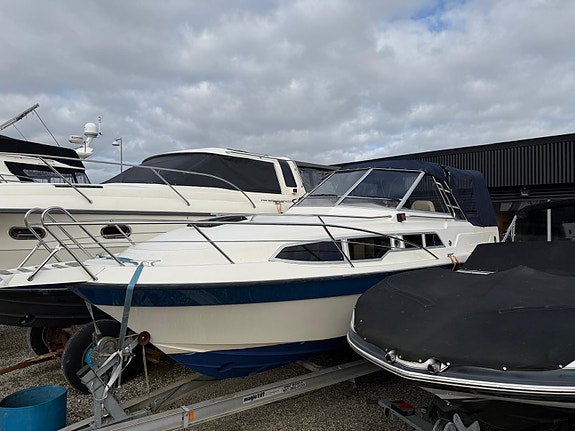 Polar 28 Explorer