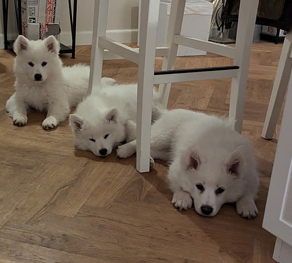 Product image 8 of 10